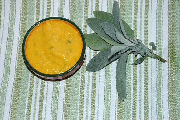 Salsa de mango